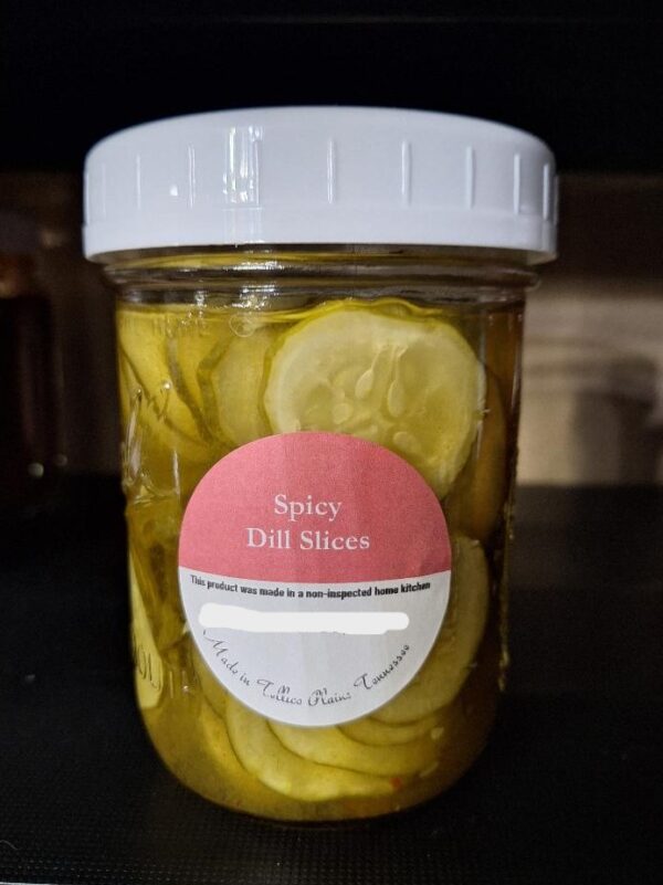 Spicy Dill Pickle Slices