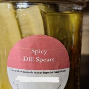 Spicy Dill Pickle Spears